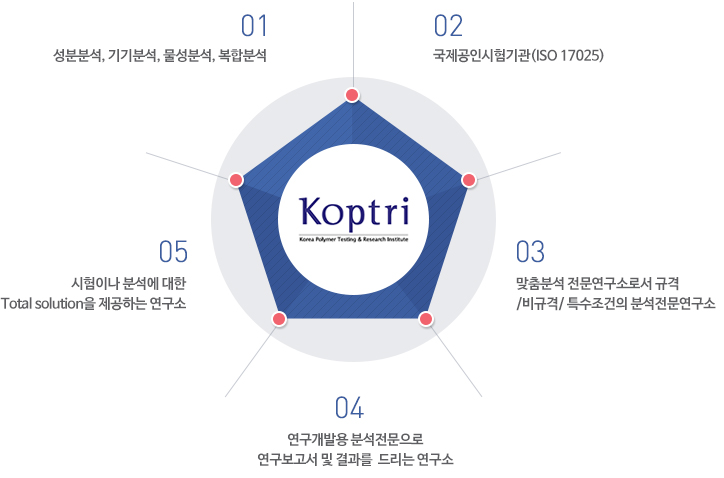 사업영역