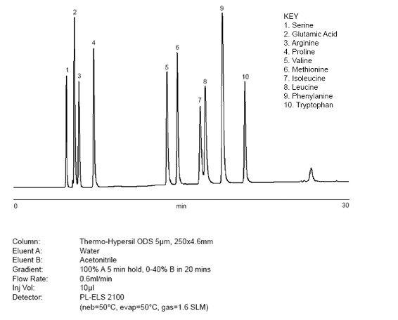 유도화하지 않은 아미노산의 HPLC