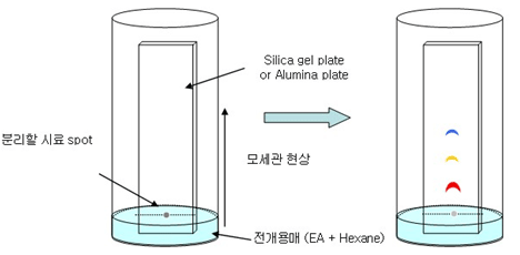 Thin layer chromatography (TLC)