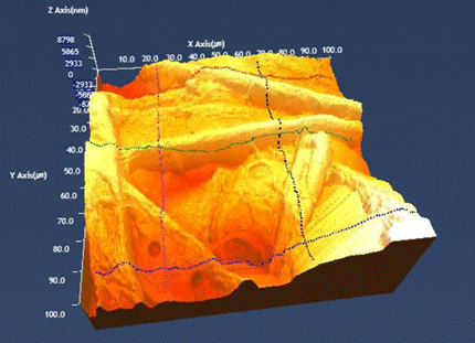 AFM 분석예, 3차원 표면구조와 표면거칠기 분석