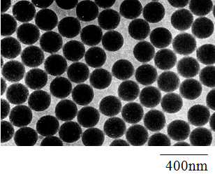 라텍스입자의 TEM분석